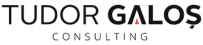 https://tudorgalos.ro/