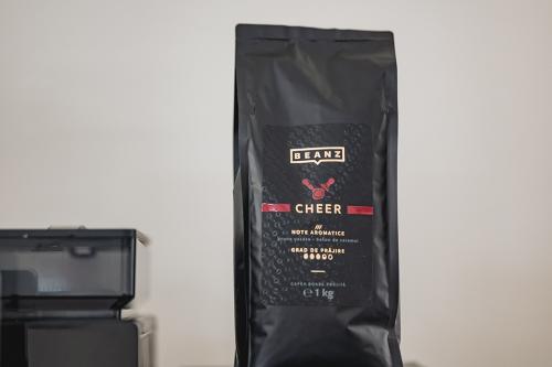 CEO Conference - Cluj Napoca 2024