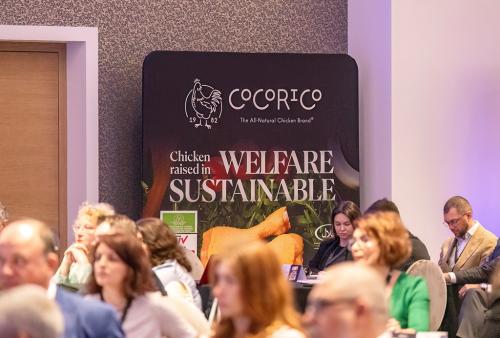 CEO Conference Bucuresti 2024 6203